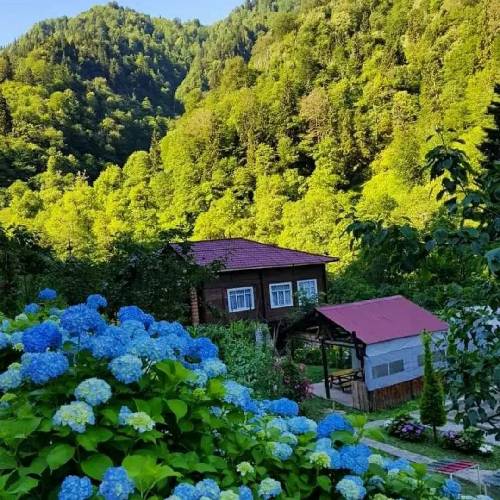 مرتضی حسینی دلگیرم توی تنهایی جون میدم و میمیرم